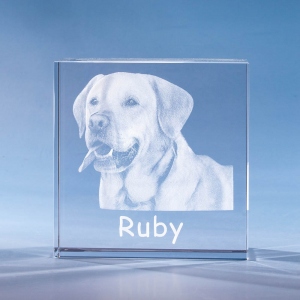 3D Photo Square Engraving Crystal