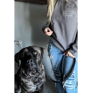 Personalized Pet Embroidered Crewneck with Name On Sleeve, Embroidered Apparel Sweatshirt,Dog Sweatshirt, Custom Dog Crewneck