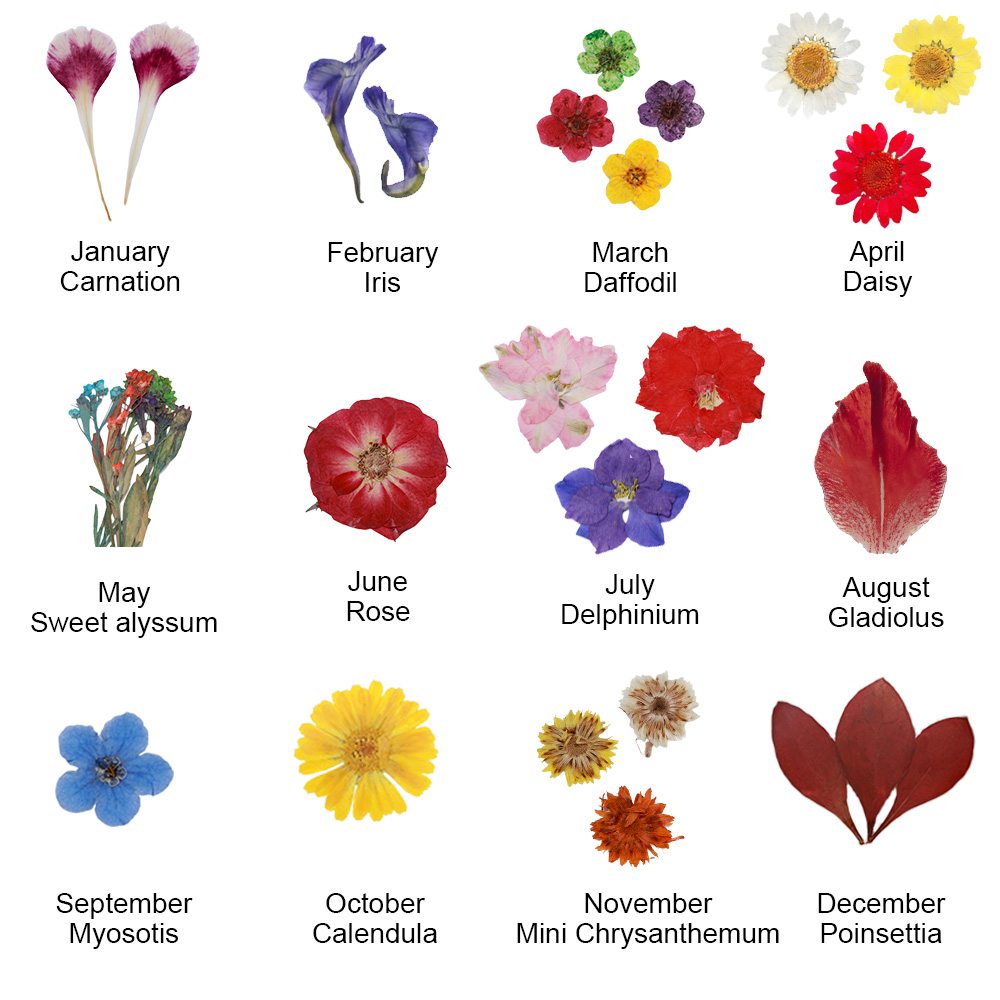 Birth Flower Necklace 