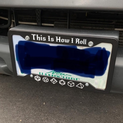 Doldols Custom DND License Plate Frame，High Quality Stainless Steel Personalized Frame, DND Gift, License Plate Frame Funny