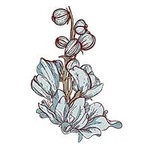 July-Larkspur