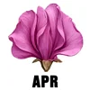 April - Sweet Pea