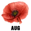 August - Poppy