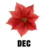 December - Holly