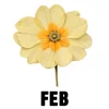 February - Primrose