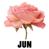 June - Honeysuckle