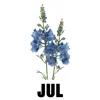 July - Waterlily