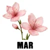 March - Sakura
