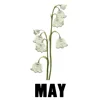 May - Lily of the Valley