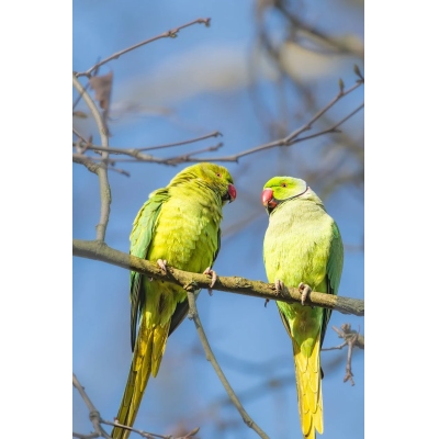 【测试专用】ForTest