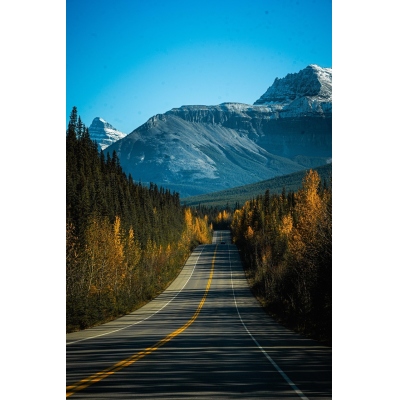 【测试专用】ForTest