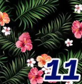 Pattern 11