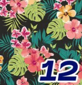 Pattern 12