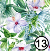 13